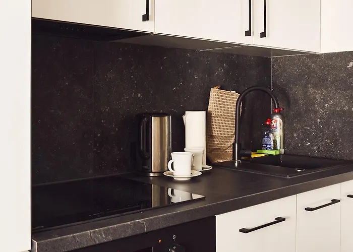 Pristine 2Bd Apartment In Central Vienna Walking Distance To 1 District *